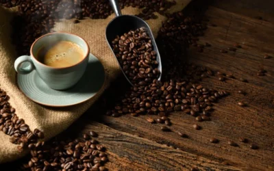 Guide Complet des Thés Rwandais : Noir, Vert et Aromatisé