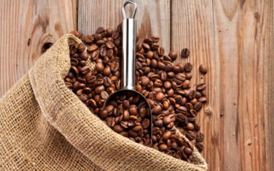 Guide de torréfaction pour révéler les arômes du café en Afrique